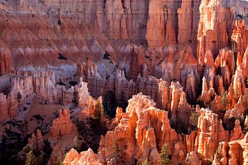 Bryce Canyon National Park, Utah van Peter Schickert