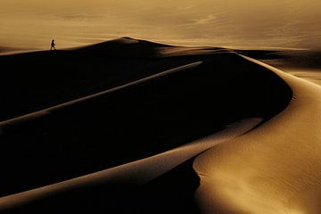 woestijn, Mohammad Fotouhi van 1x