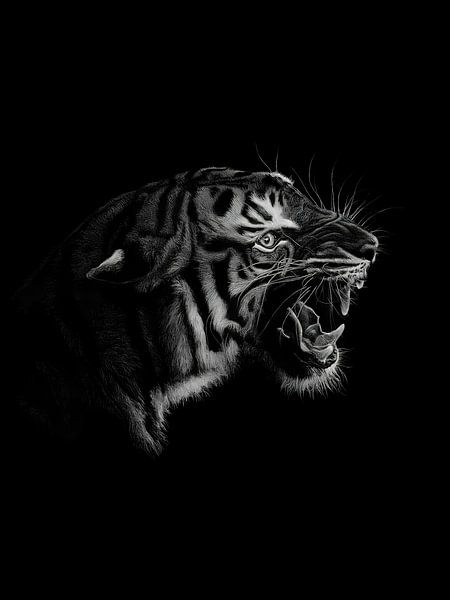 Tiger by Yoga Pranata