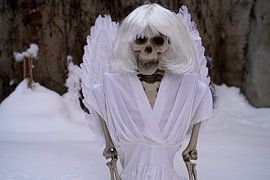 Last angel skeleton of an angel in white snow