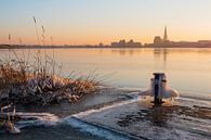 Blick über die Warnow auf Rostock im Winter van Rico Ködder thumbnail