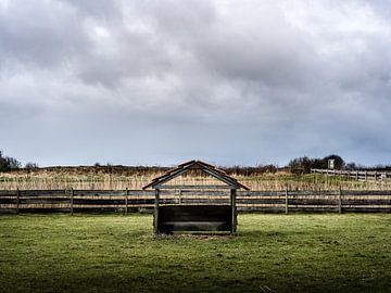 Sheepfold by Steven Goovaerts