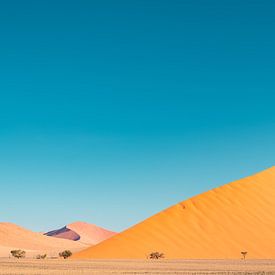 Namibia Desert Namib by Jean Claude Castor