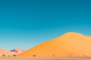 Namibie Désert du Namib