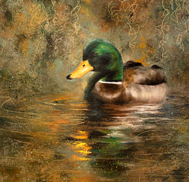 Golden Waters von Isabel Fine Art