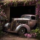 Old car in an old barn by Brian Morgan thumbnail