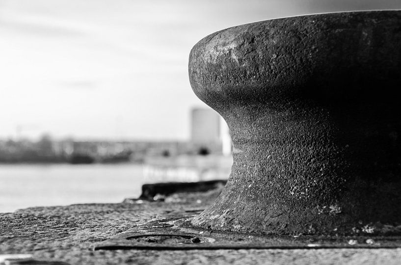 quay by Eline Willekens