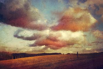 Picturesque autumn evening - sky and field at sunset