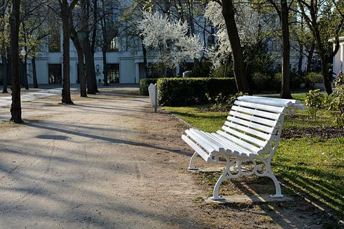 witte houten bank bij een wandelpad