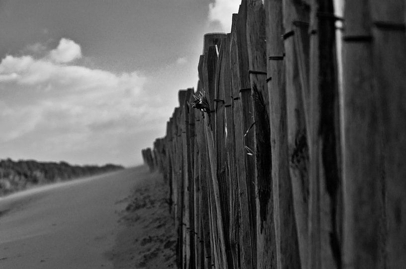 To the beach by Robert Stienstra