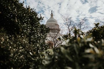 Capitol Hill, Washington D.C. | Colorful travel photography by Trix Leeflang