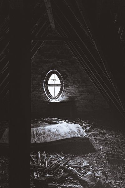 Blair Witch Horror - Des jours sombres au Baldeneysee dans la région de la Ruhr par Jakob Baranowski - Photography - Video - Photoshop