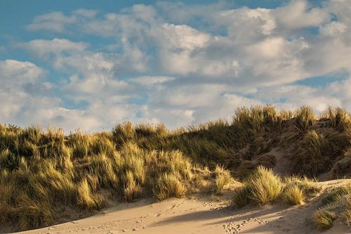 Strand en duin in sfeerlicht