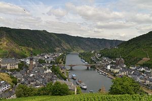 Blick über die Mosel