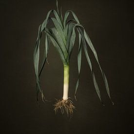 Seasonal vegetables - Open-grown leeks by Mariska Vereijken