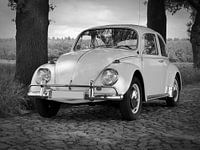 Volkswagen (VW) Kever