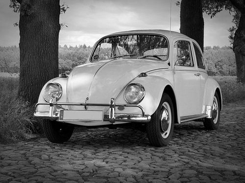 Volkswagen (VW) Beetle