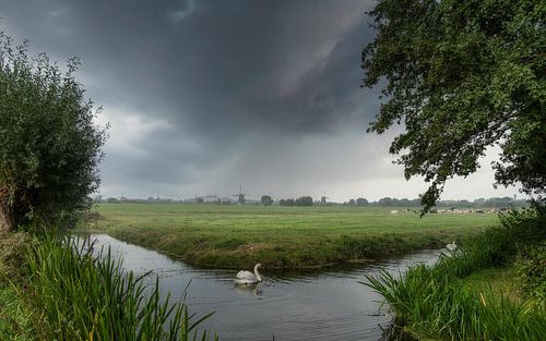 A typical Dutch landscape by Mart Houtman