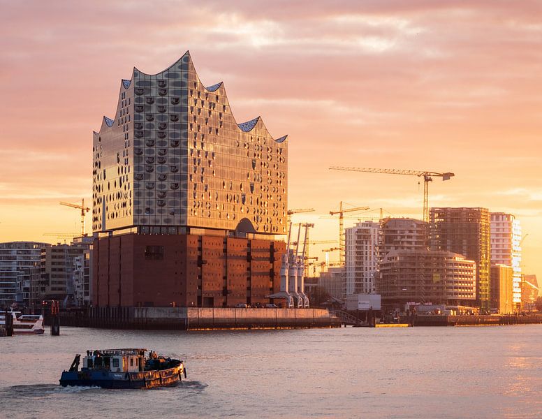 Elbphilharmonie Hamburg von Nils Steiner