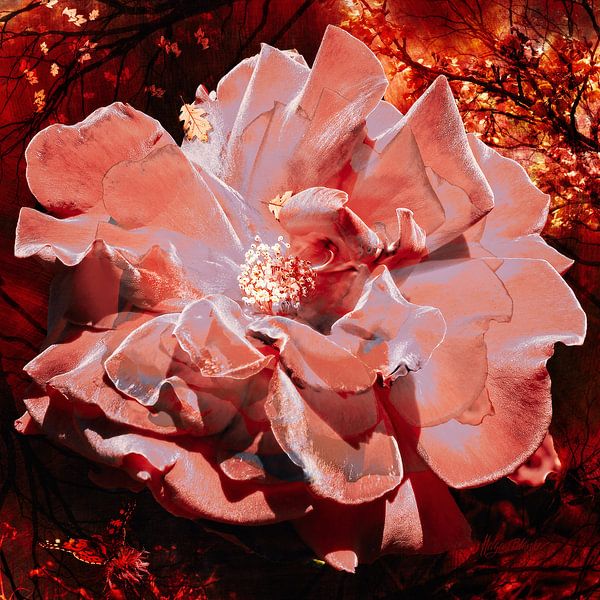 Rose saisonnière dans une forêt chaude et automnale. par Helga Blanke