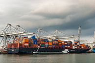 Frachtcontainerschiff auf dem Containerterminal im Hafen von Rotterdam von Sjoerd van der Wal Fotografie Miniaturansicht