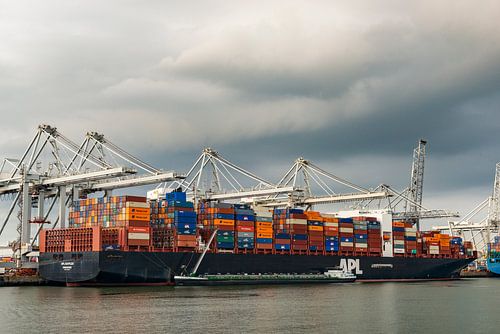 Vrachtcontainerschip op de containerterminal in de haven van Rotterdam
