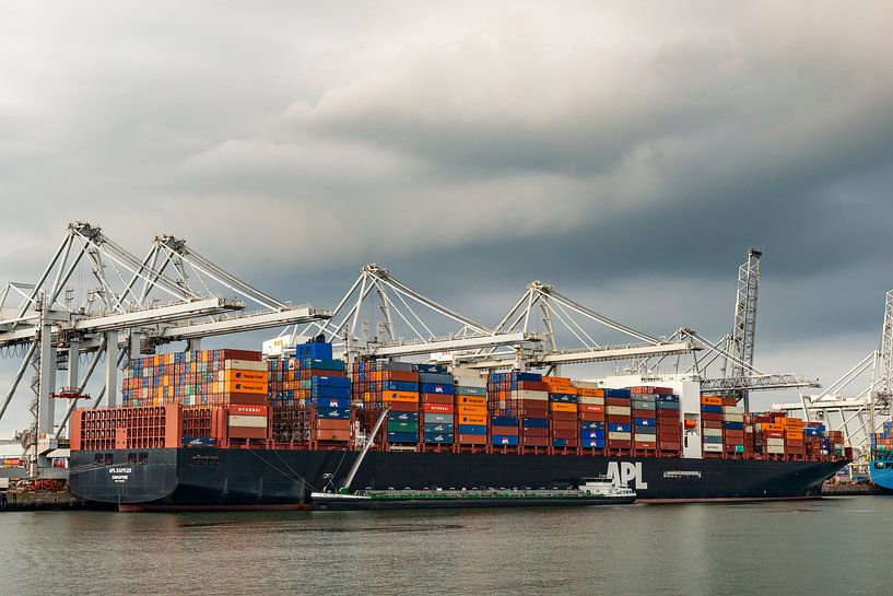 Frachtcontainerschiff auf dem Containerterminal im Hafen von Rotterdam von Sjoerd van der Wal Fotografie