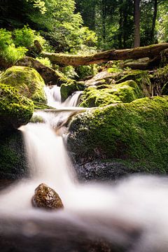 Cours d'eau harz sur Tim Lee Williams