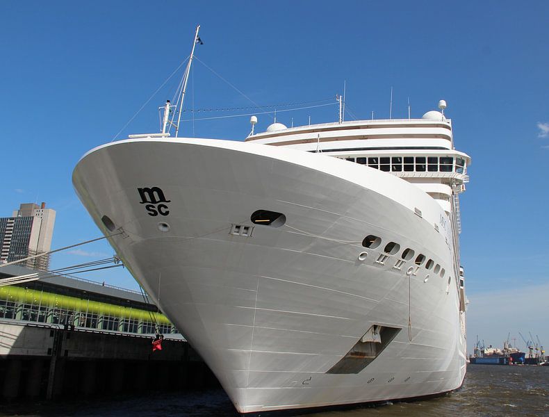 MSC Magnifica von Matthias Brix