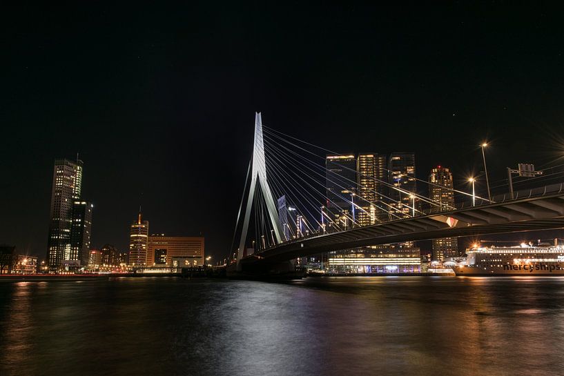 Erasmusbrug Rotterdam in de avond van Patrick Verhoef