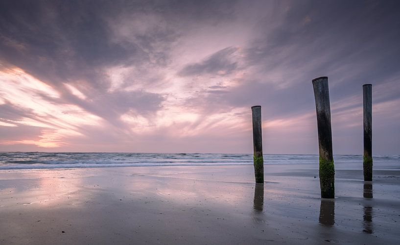 Palendorp Petten - 1 par Bart van den Dikkenberg