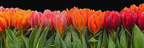 Malerei der Tulpen  digital Art