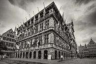 Stadhuis Antwerpen van Rob Boon thumbnail