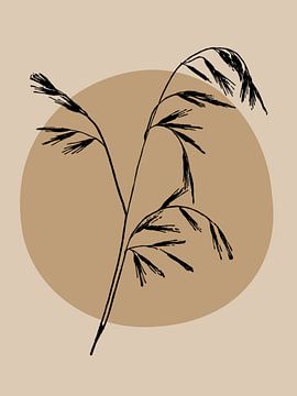 gazon dans les tons beiges