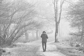 Hiker in the forest by Peter Haastrecht, van