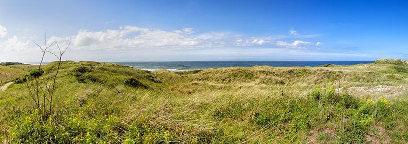 Dünen und Nordsee von Dirk Rüter