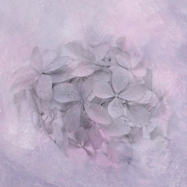 Euphoria by The Art Of Vili