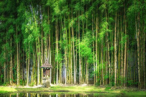 Bamboebos met pagode lantaarn