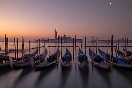 Venice - Gondolas on St Mark's Square at Sunrise