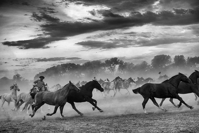 Gauchos et chevaux par Eric Verdaasdonk