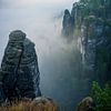 Nebel am Ferdinandstein - Sächsische Schweiz (Elbsandsteingebirge) von t.ART