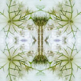 Frozen bermbloem groen van Marja Lok