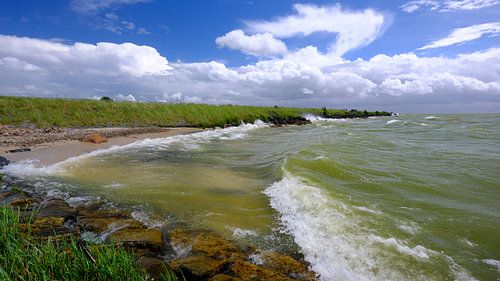IJsselmeer kust van Sabrina de Vries