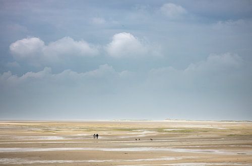groene strand van Terschelling