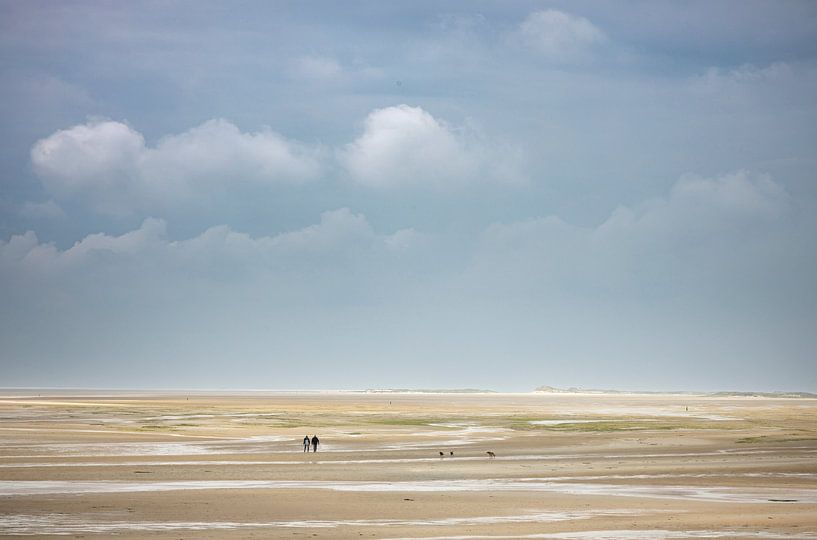 Der grüne Strand von Terschelling von B Damstra