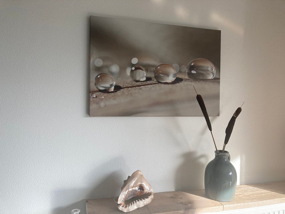 Up to you by Carla Mesken-Dijkhoff