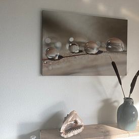 Customer photo: Up to you by Carla Mesken-Dijkhoff, on canvas