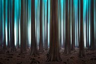 Abstract pine forest by Jeroen Lagerwerf thumbnail