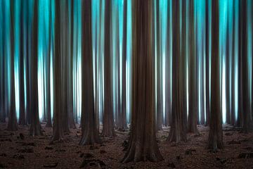 Abstract pine forest by Jeroen Lagerwerf