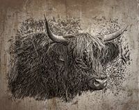 Scottish Highlander
